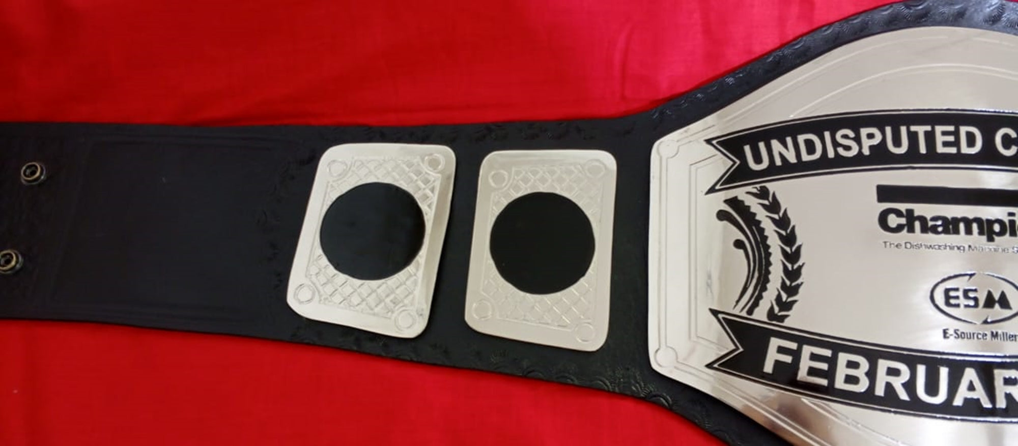 Custom Name and ESM Logo Wrestling Championship Belt - Customize Wrestling Belts