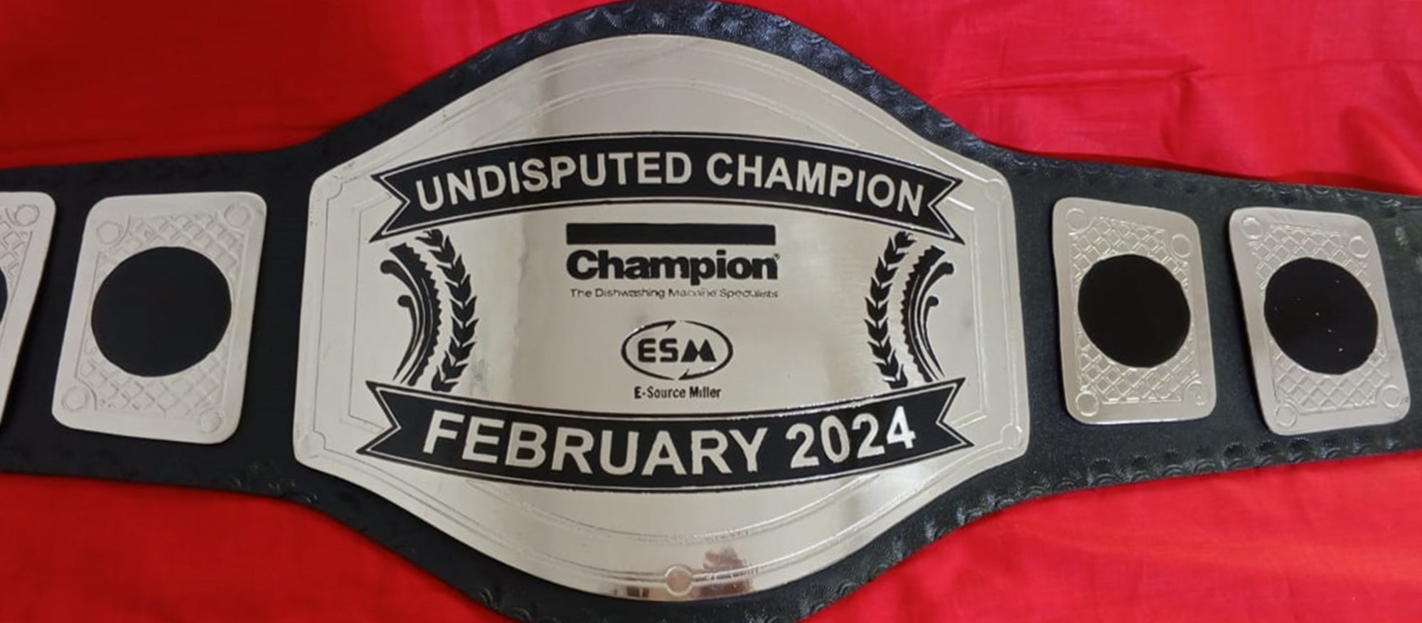 Custom Name and ESM Logo Wrestling Championship Belt - Customize Wrestling Belts