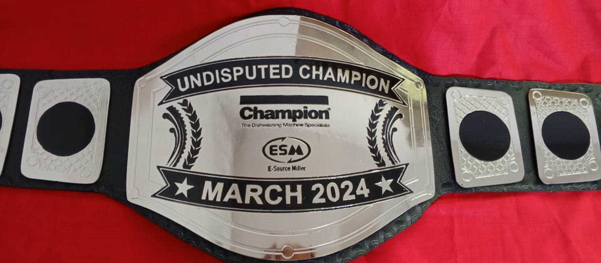 Custom Name and ESM Logo Wrestling Championship Belt - Customize Wrestling Belts