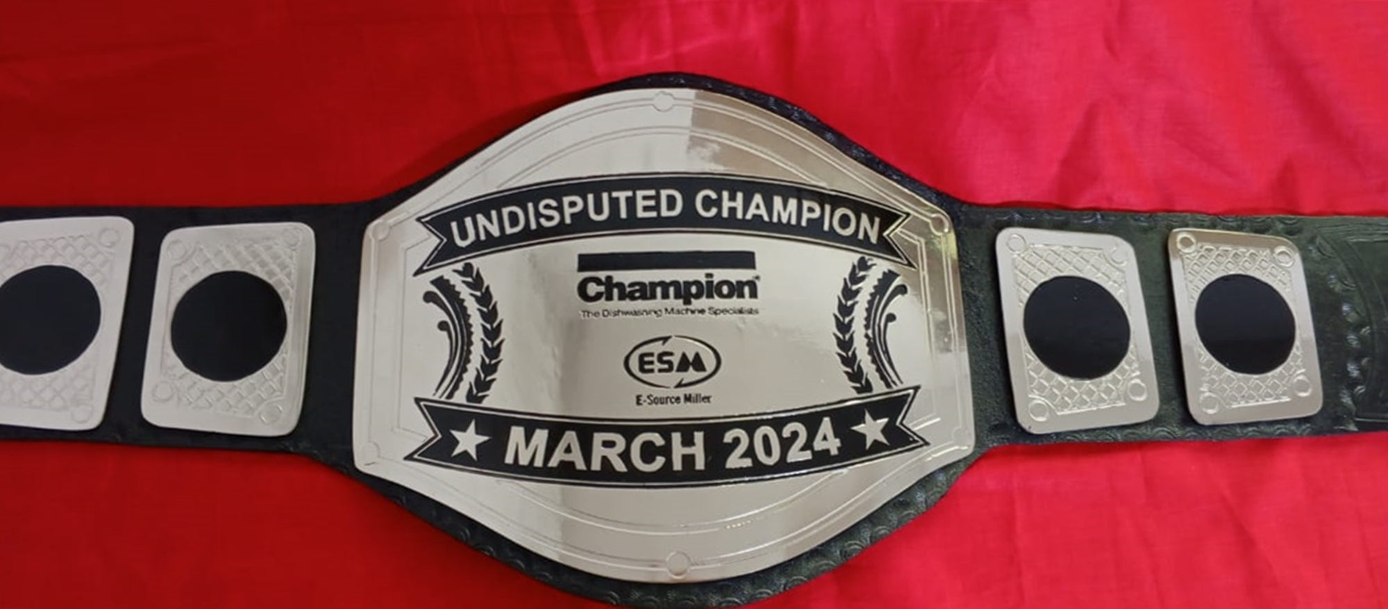 Custom Name and ESM Logo Wrestling Championship Belt - Customize Wrestling Belts