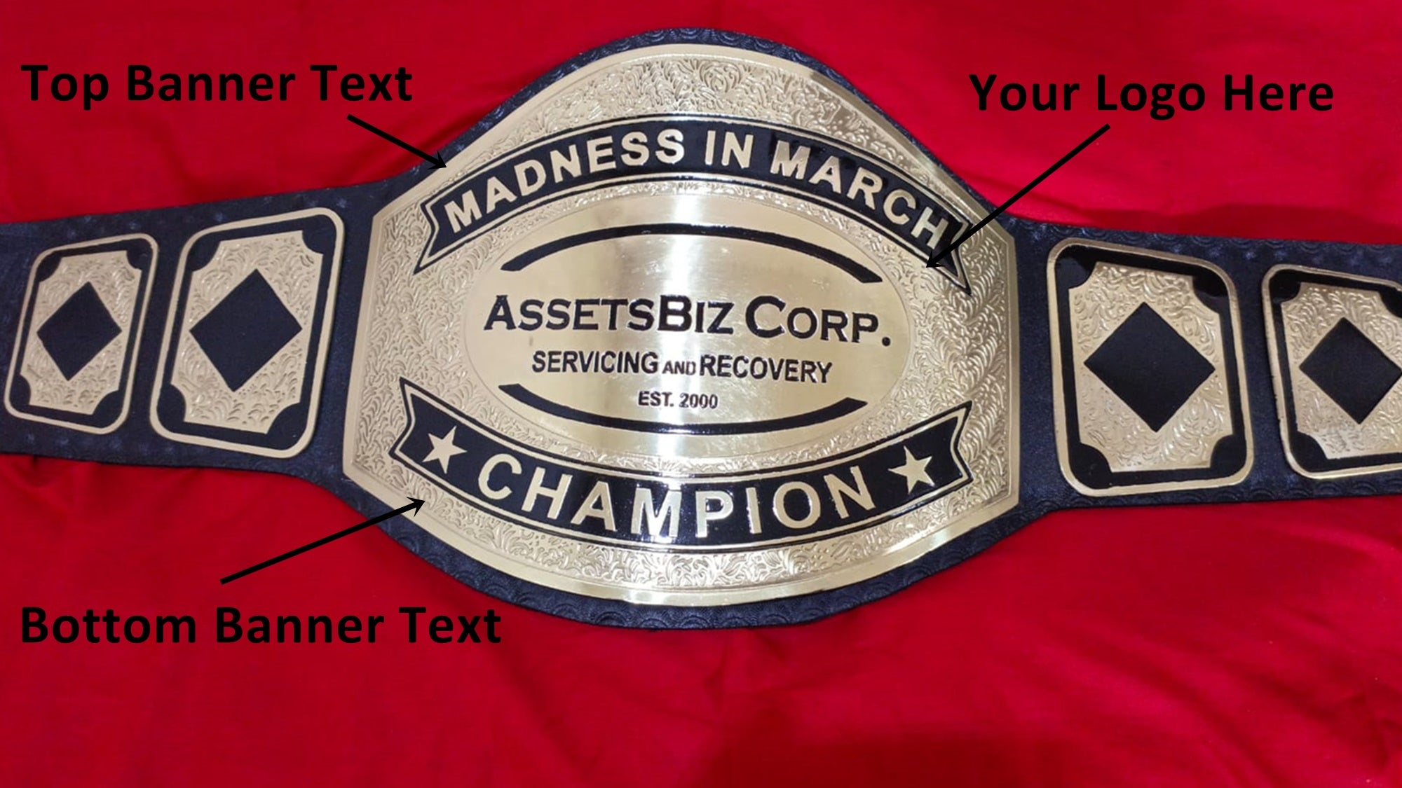 Custom Name and AssetBiz Corp Logo For Your Firm Wrestling Championship Belt - Customize Wrestling Belts