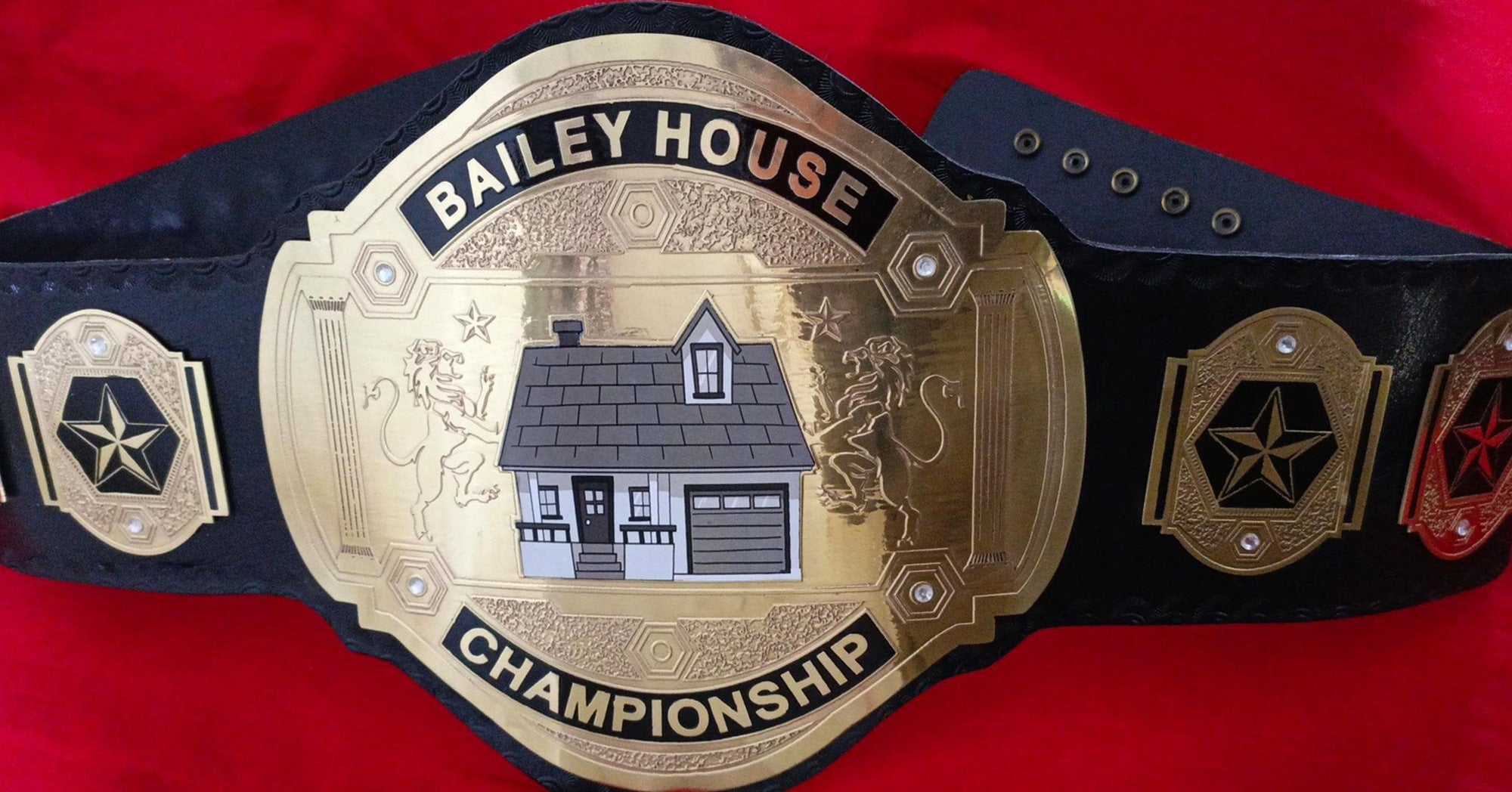 Custom Name and House Logo Wrestling Championship Belt - Customize Wrestling Belts