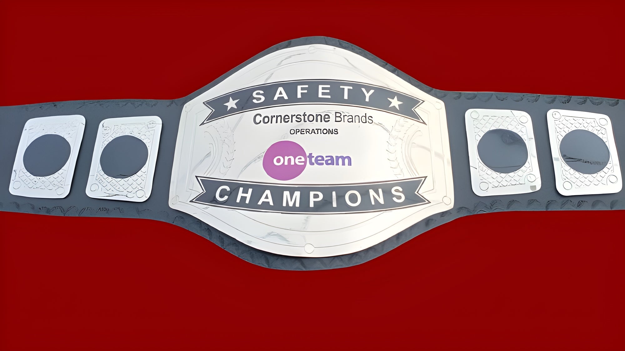 Custom Name and One Team Logo Wrestling Championship Belt