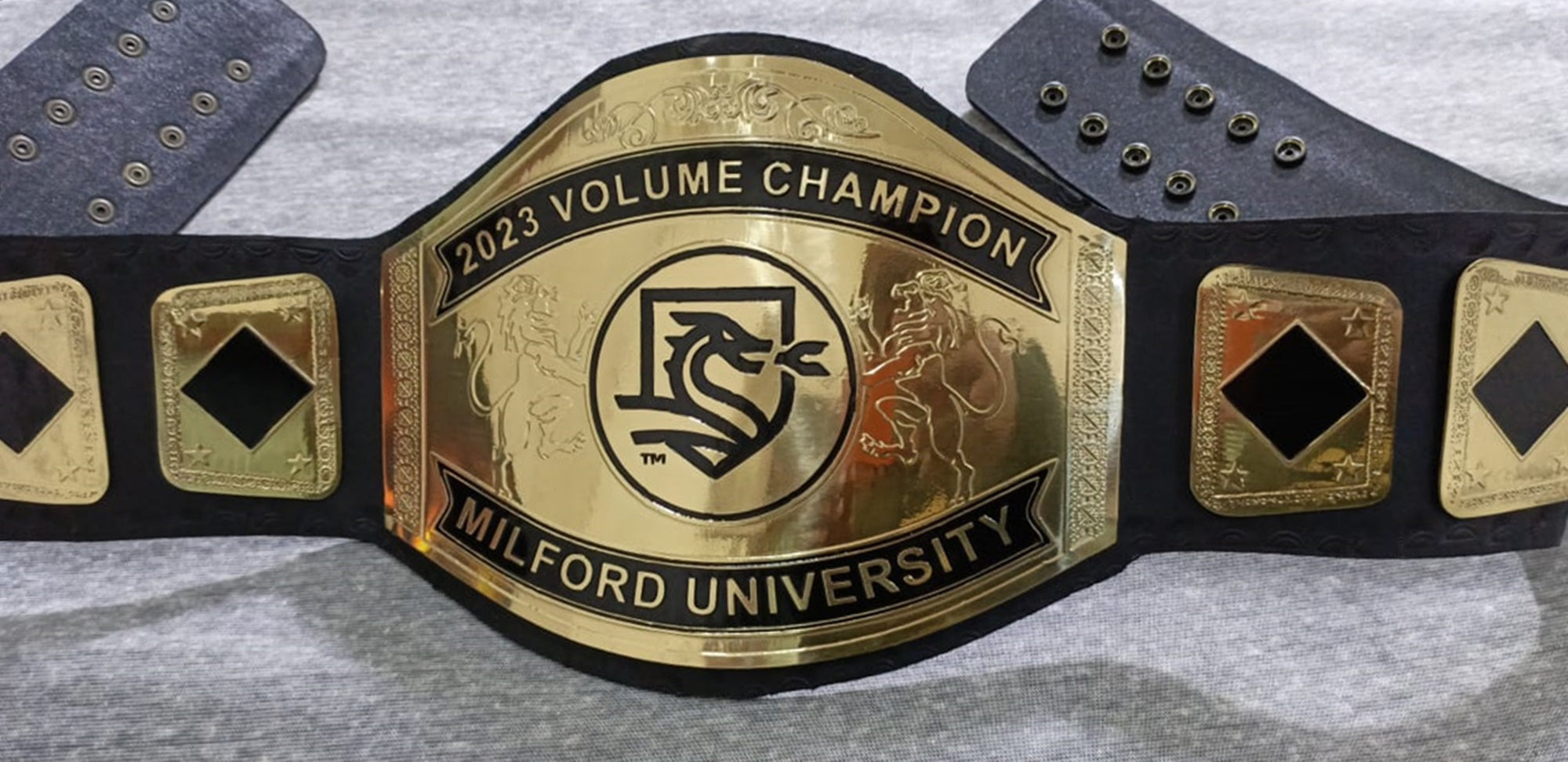 Custom Name and Dragon Logo Wrestling Championship Belt - Customize Wrestling Belts