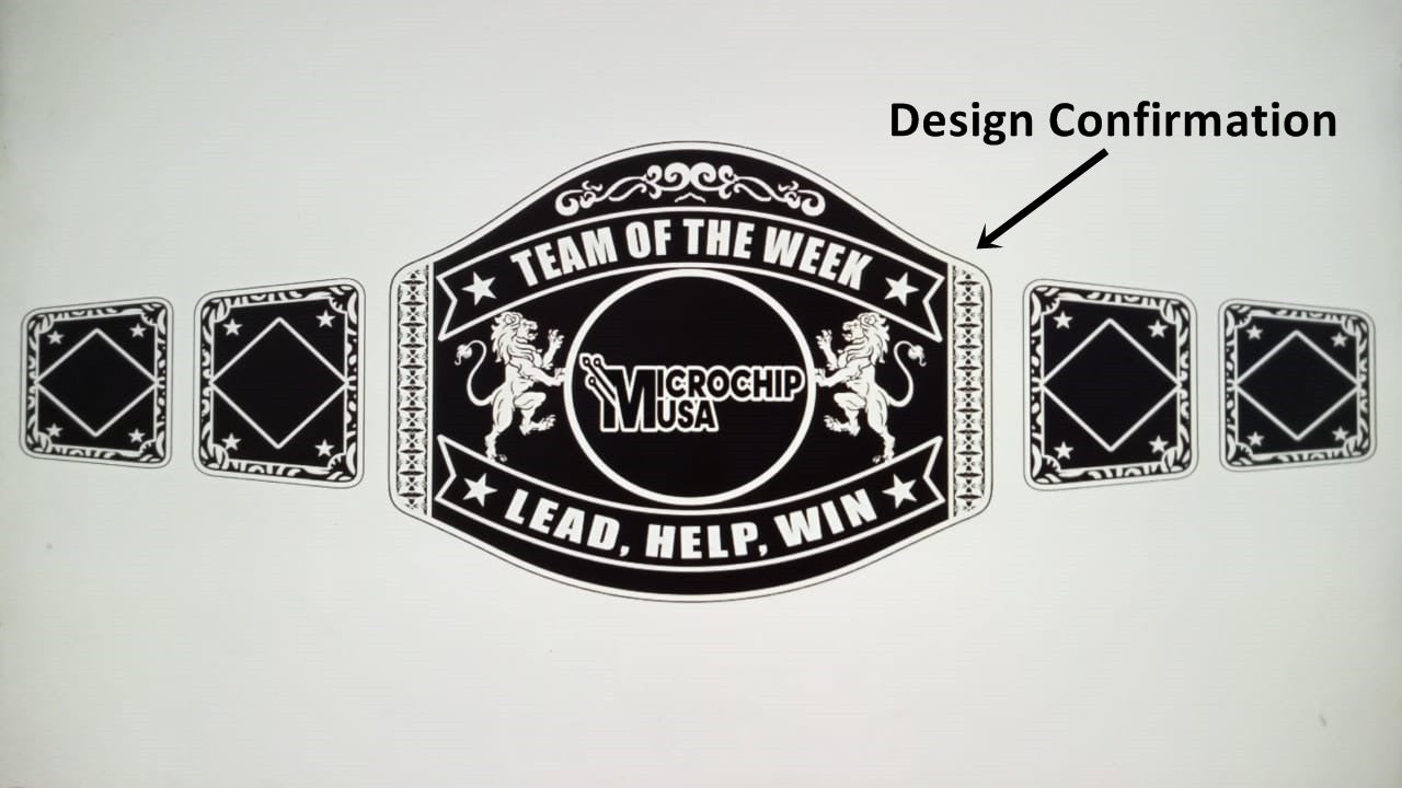 Custom Name and Microchip USA Logo Wrestling Championship Belt - Customize Wrestling Belts