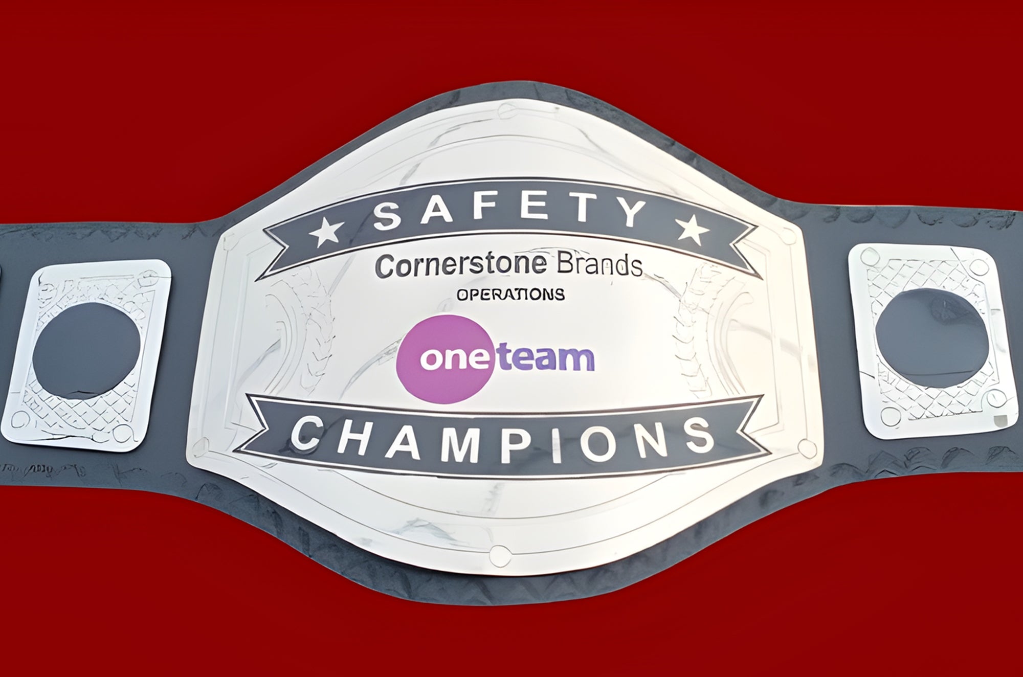 Custom Name and One Team Logo Wrestling Championship Belt