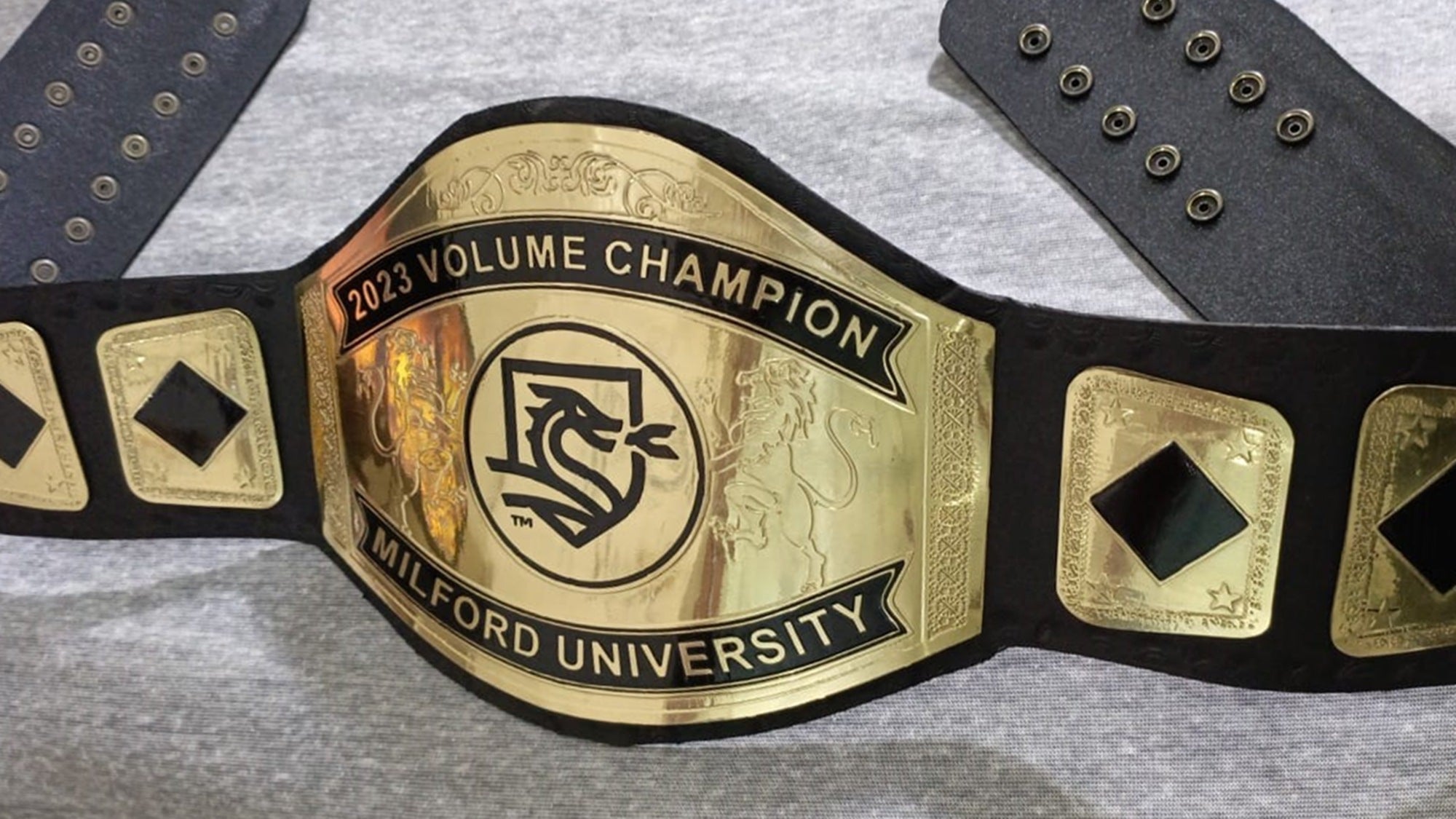 Custom Name and Dragon Logo Wrestling Championship Belt - Customize Wrestling Belts