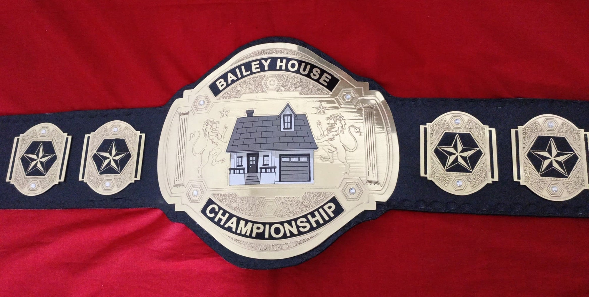 Custom Name and House Logo Wrestling Championship Belt - Customize Wrestling Belts