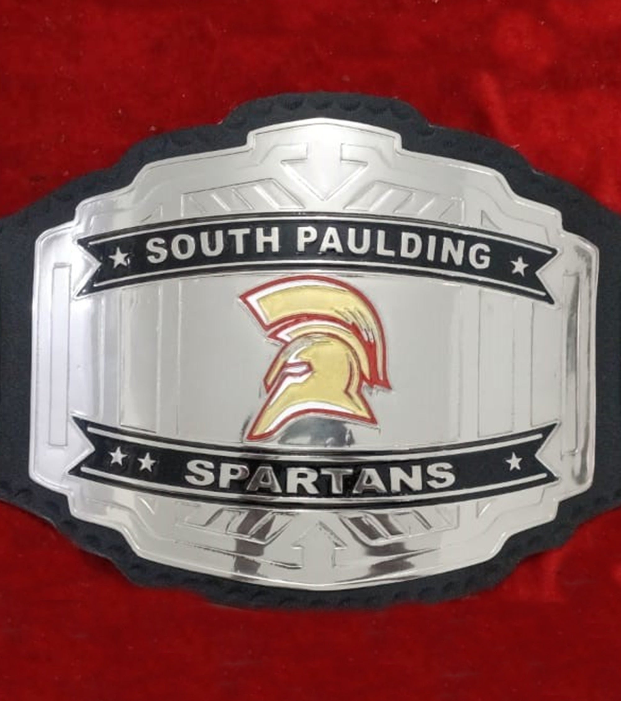 Custom Name and Viking Logo Wrestling Championship Belt - Customize Wrestling Belts