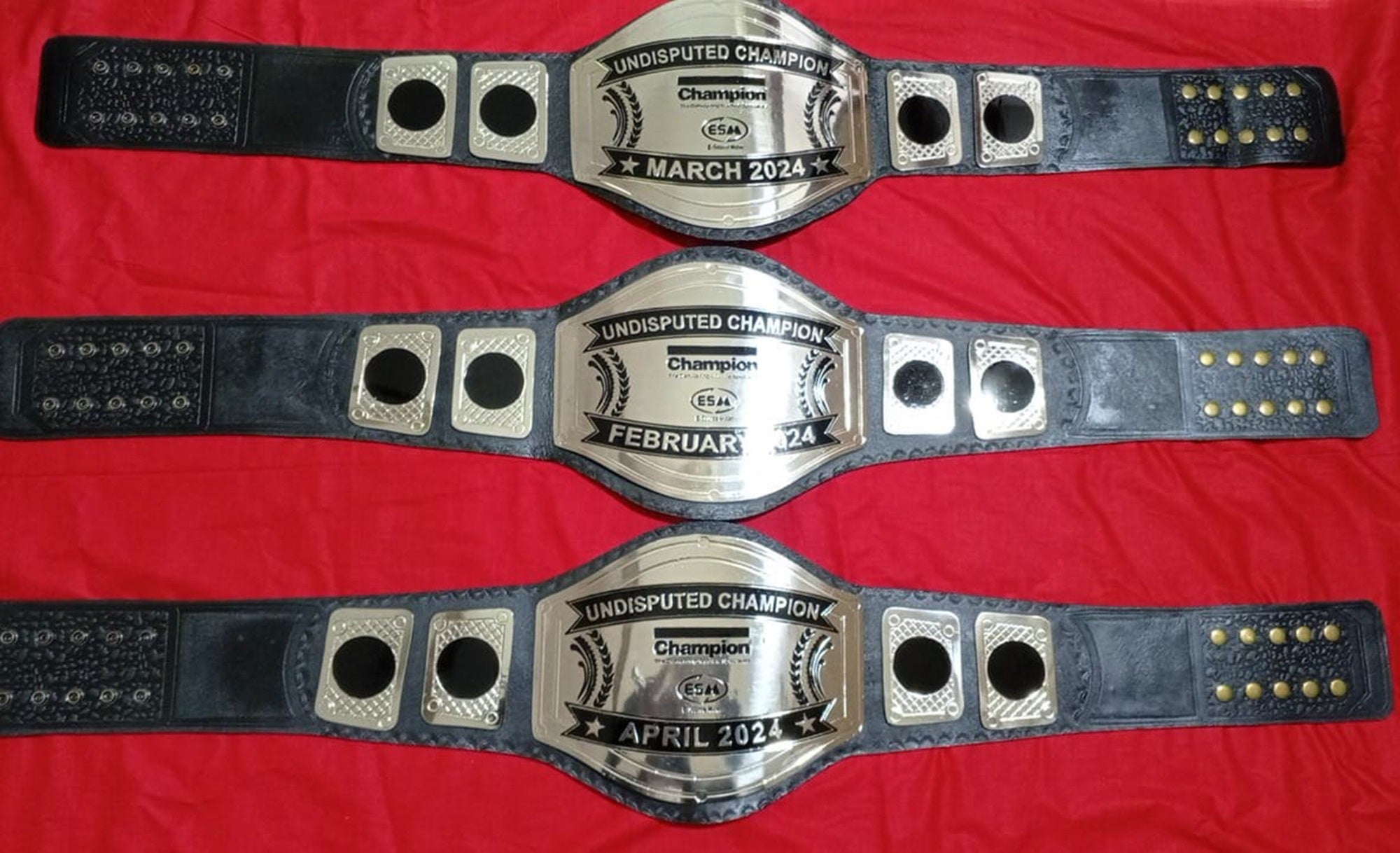 Custom Name and ESM Logo Wrestling Championship Belt - Customize Wrestling Belts