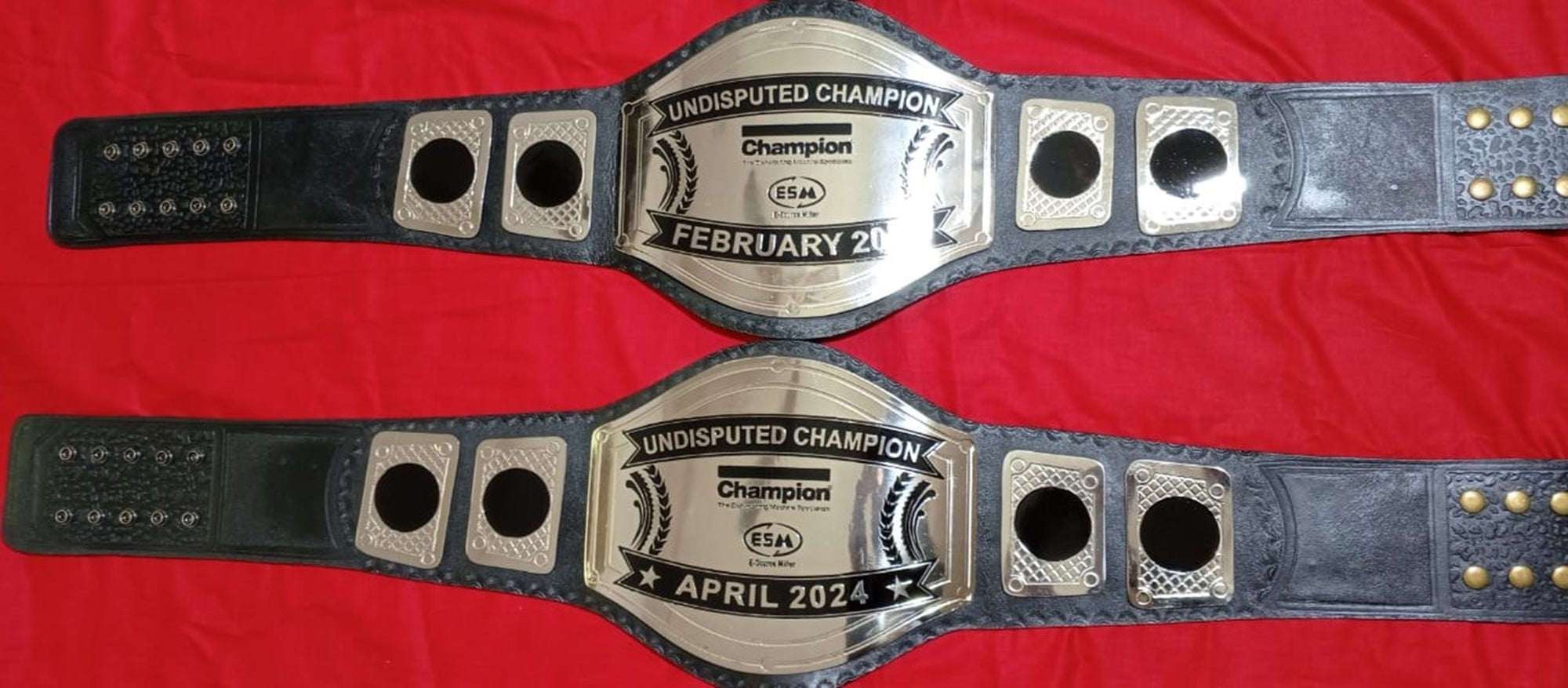 Custom Name and ESM Logo Wrestling Championship Belt - Customize Wrestling Belts