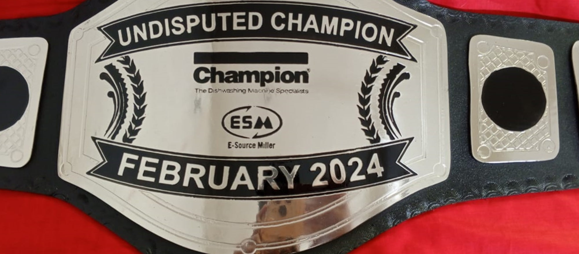 Custom Name and ESM Logo Wrestling Championship Belt - Customize Wrestling Belts