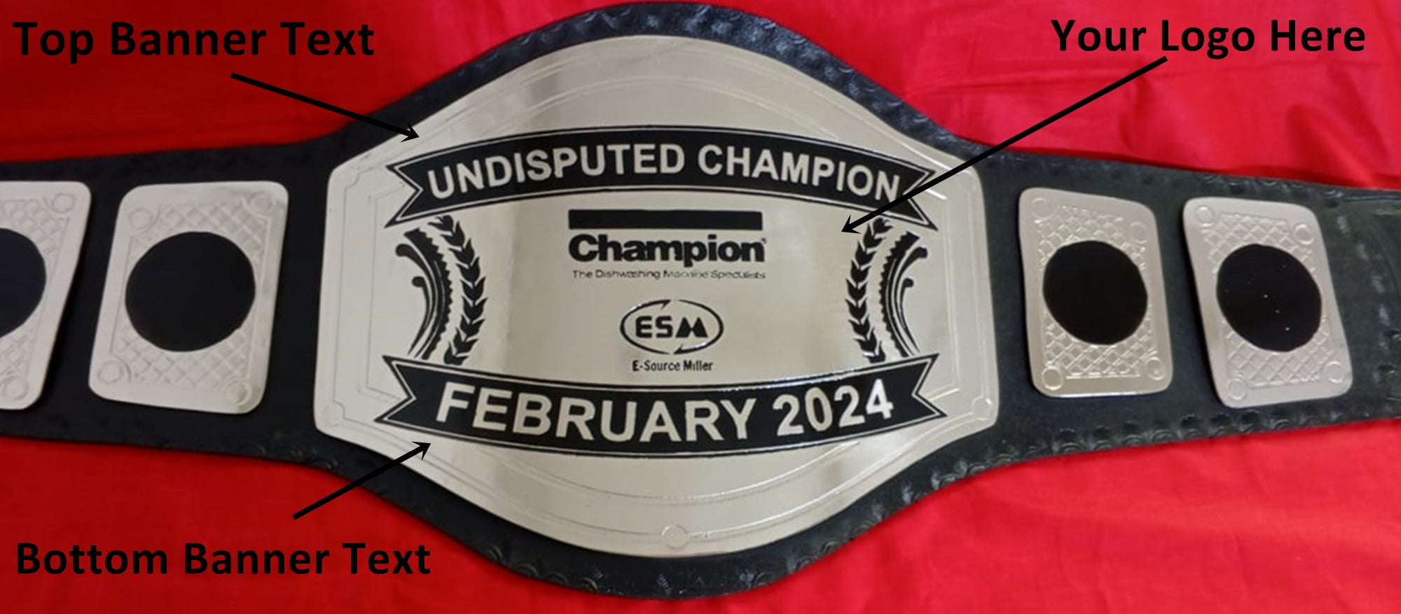 Custom Name and ESM Logo Wrestling Championship Belt - Customize Wrestling Belts