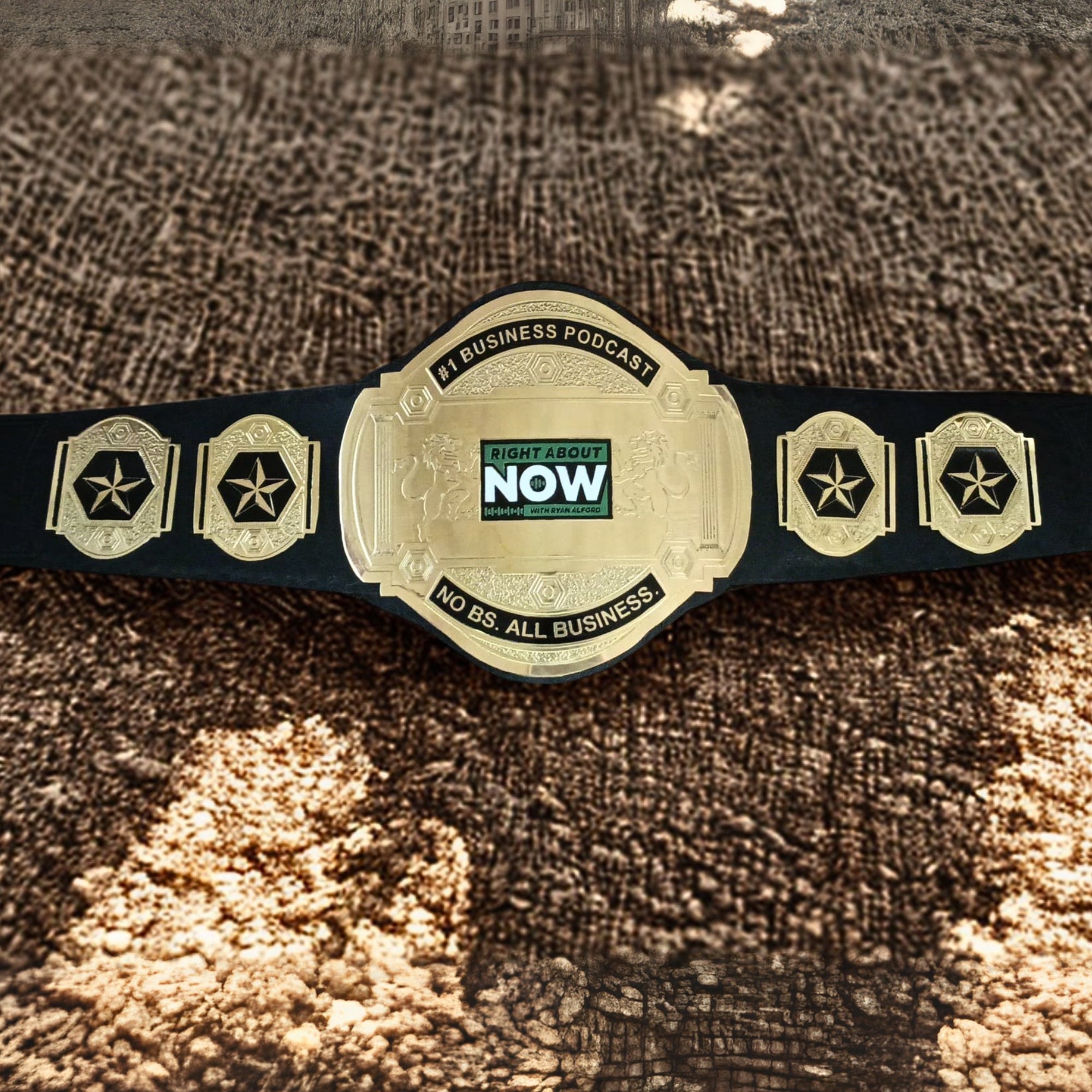 Personalized Wrestling Title Belt - Customize Wrestling Belts Wrestling Customize BeltCustomize Wrestling Belts2mm BrassGoldBlackPersonalized Wrestling Title BeltWrestling Customize BeltCustomize Wrestling Belts