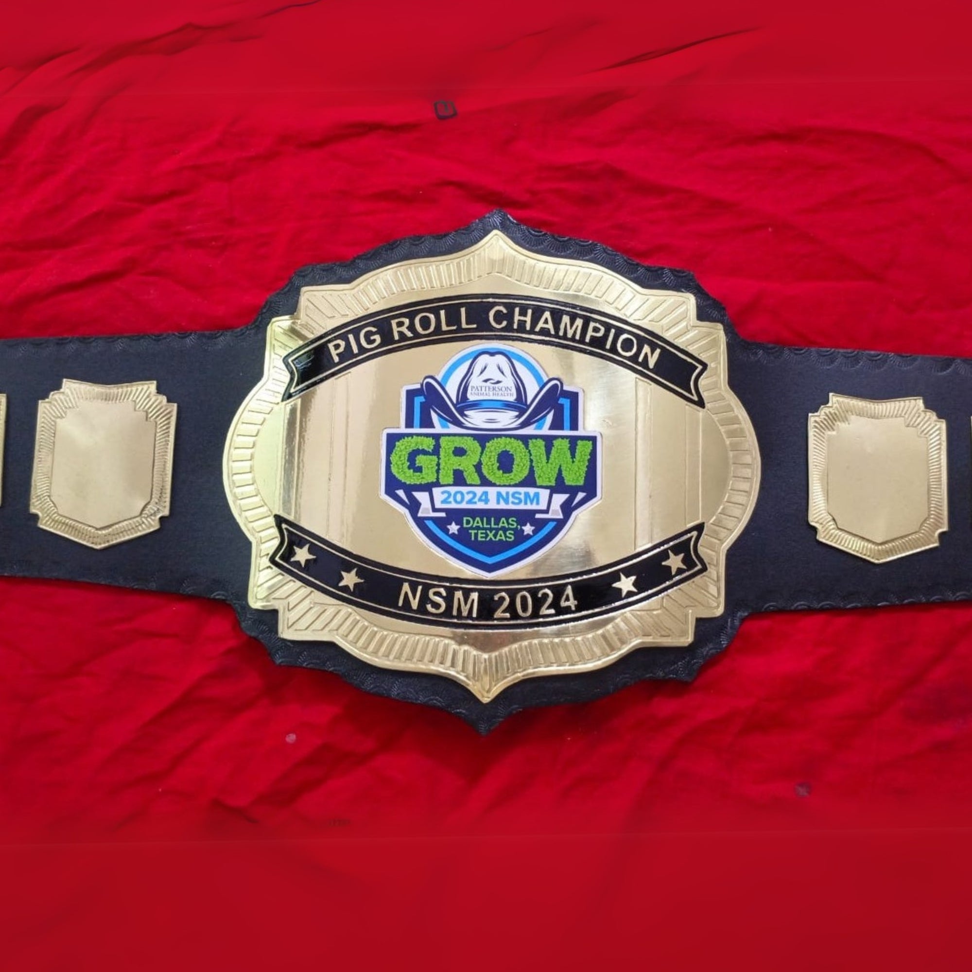 Crafted Wrestling Championship Belt