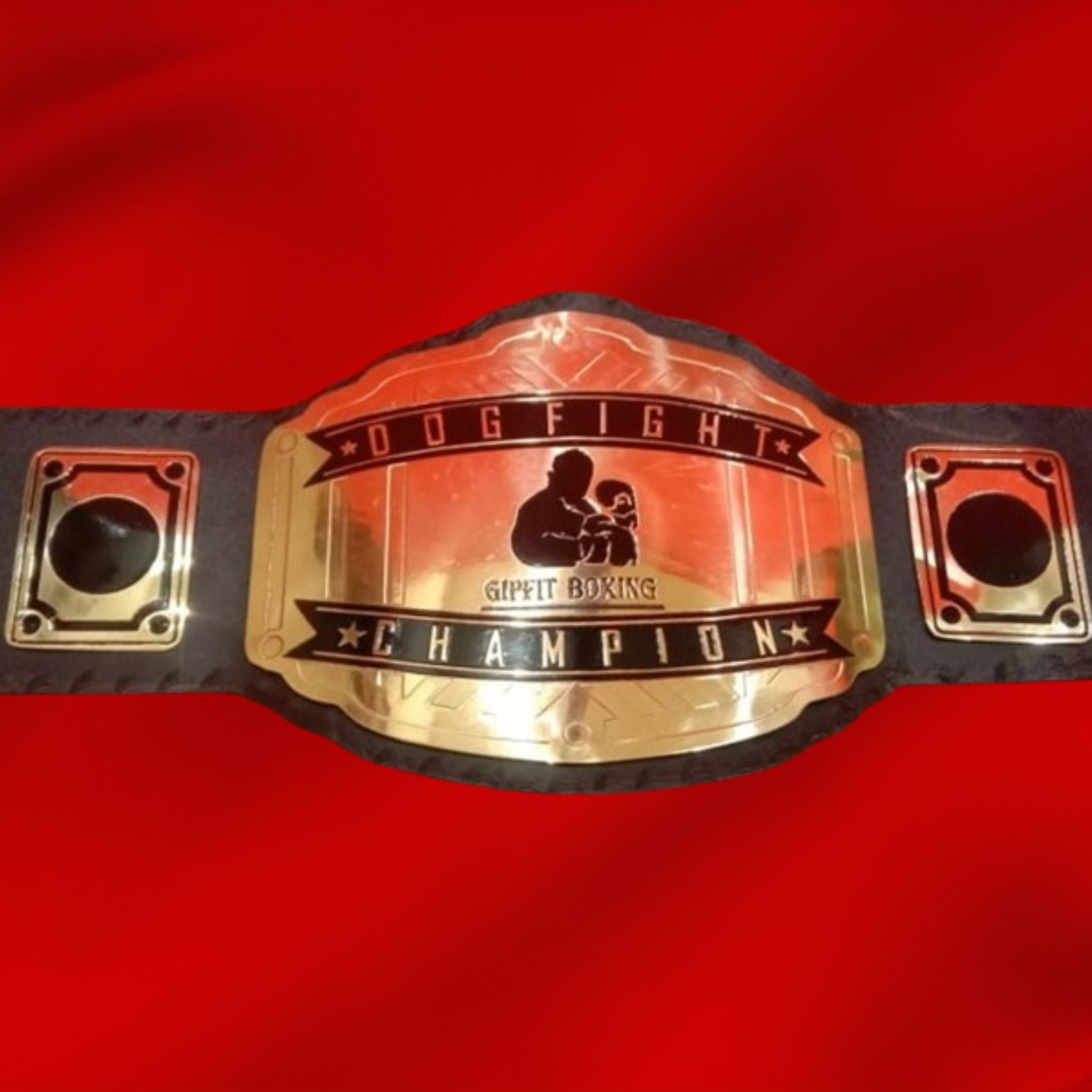 Custom Name And Gipfit Boxing Logo Wrestling Championship Belt