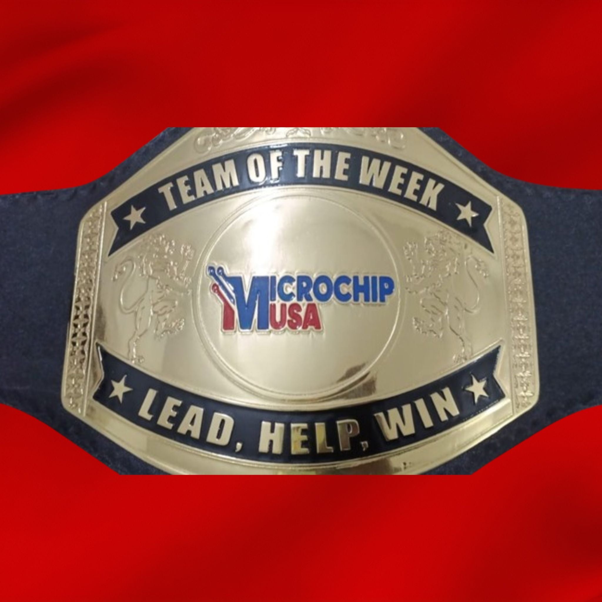 Custom Name and Microchip USA Logo Wrestling Championship Belt - Customize Wrestling Belts