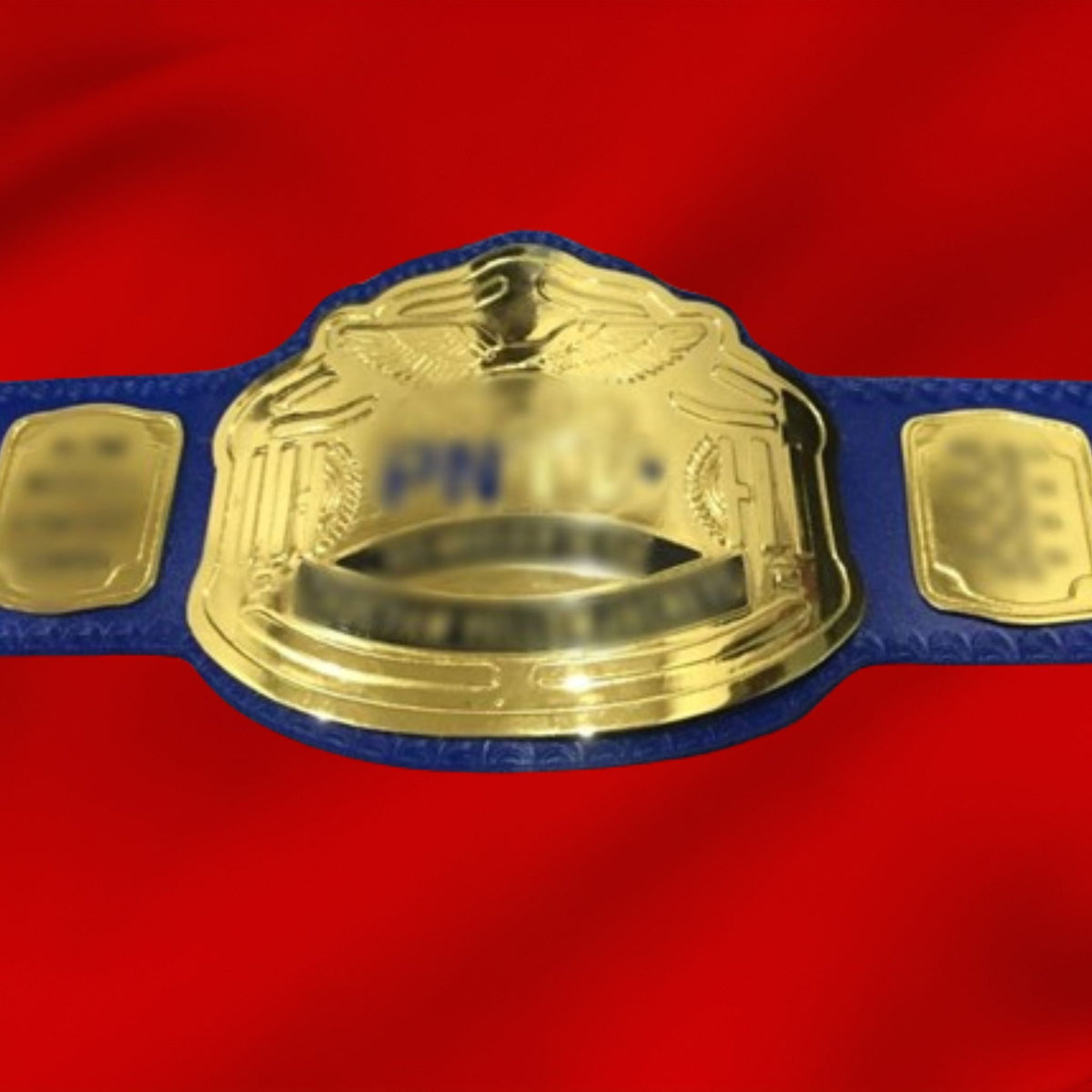 USA Custom Name and Logo Championship Belt | Shop Today