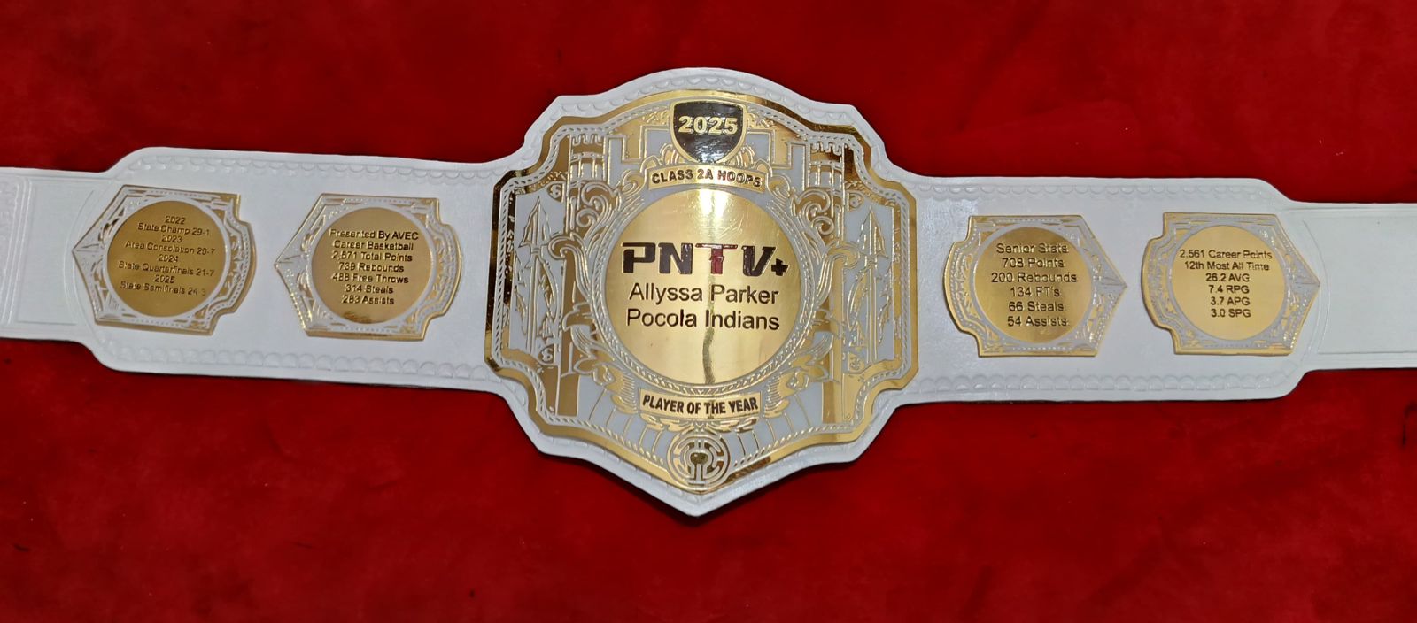 Custom Championship Title Belts (4mm ZINC)