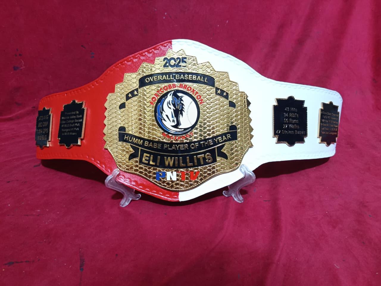 (NEW DESIGNS) Custom Championship Title Belts (4mm ZINC)