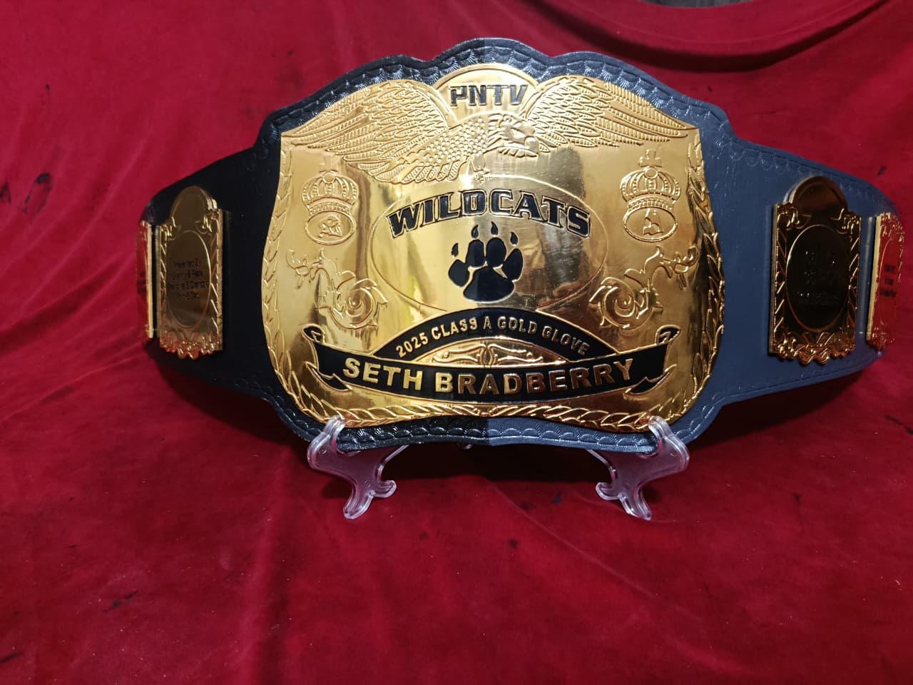 Custom Championship Title Belts (4mm ZINC)
