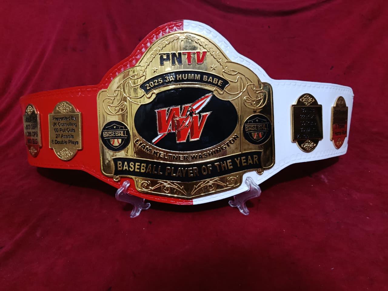 Custom Championship Title Belts (4mm ZINC)
