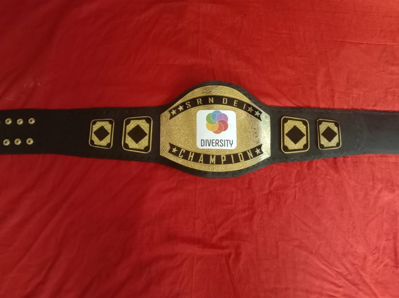 Custom Name and Diversity Logo Wrestling Championship Belt - Customize Wrestling Belts